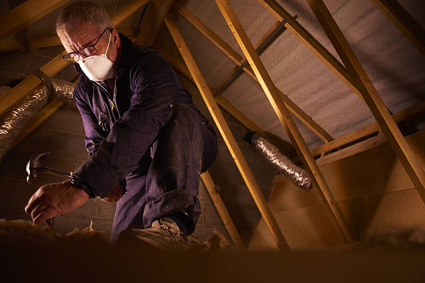 Best Cellulose Insulation in Layhill, MD